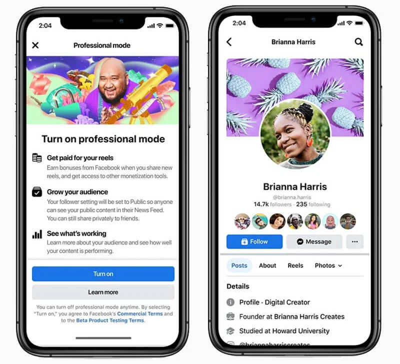 facebook introduces professional mode