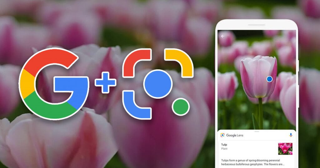 Google Lens Will Now Make Image Search Easier on Google