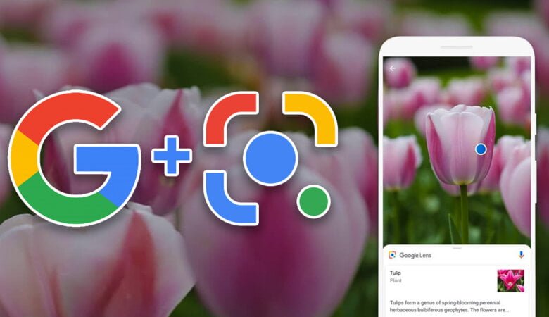 Google Lens Will Now Make Image Search Easier on Google